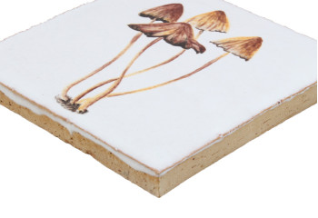 carrelage décoré champignons des prés