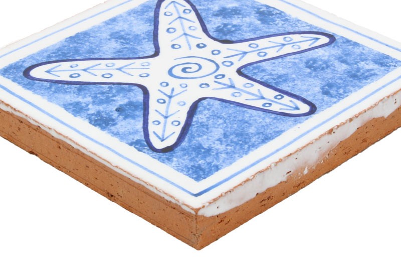 carrelage motif étoile de mer carrelage motif étoile de mer