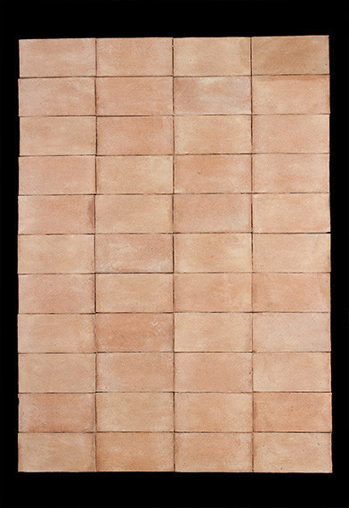 petits carreaux terre cuite rectangle