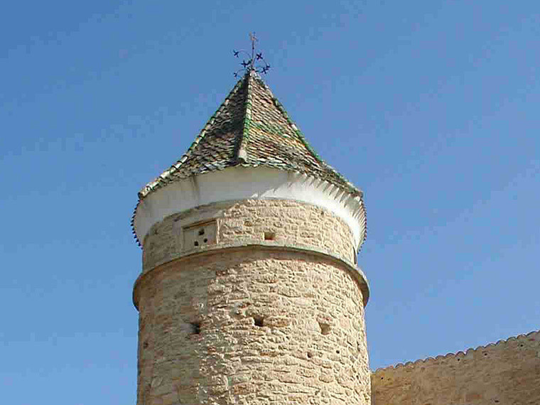 tuile pointue émaillée vernissée pour pigeonnier