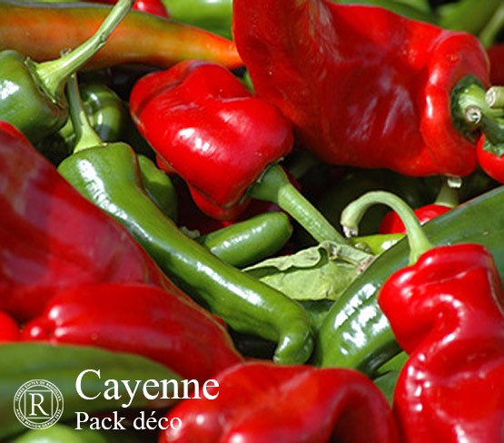 Cayenne